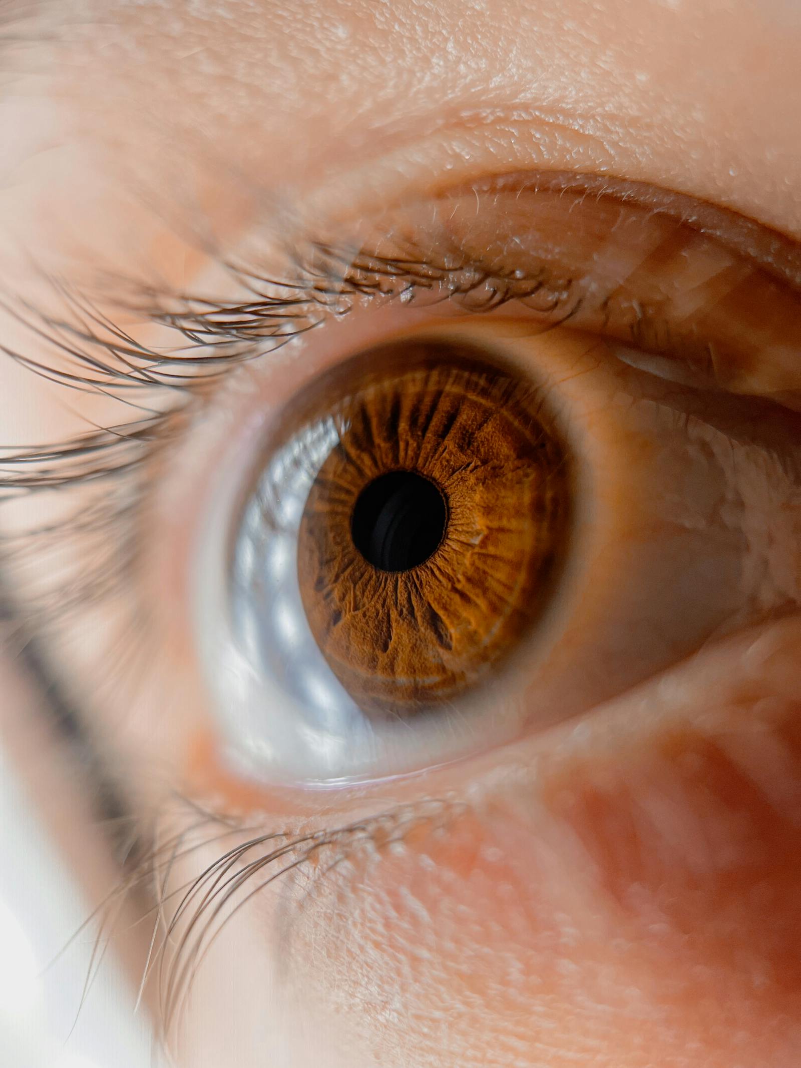 macro detail of a human iris representing OCT retinal imaging