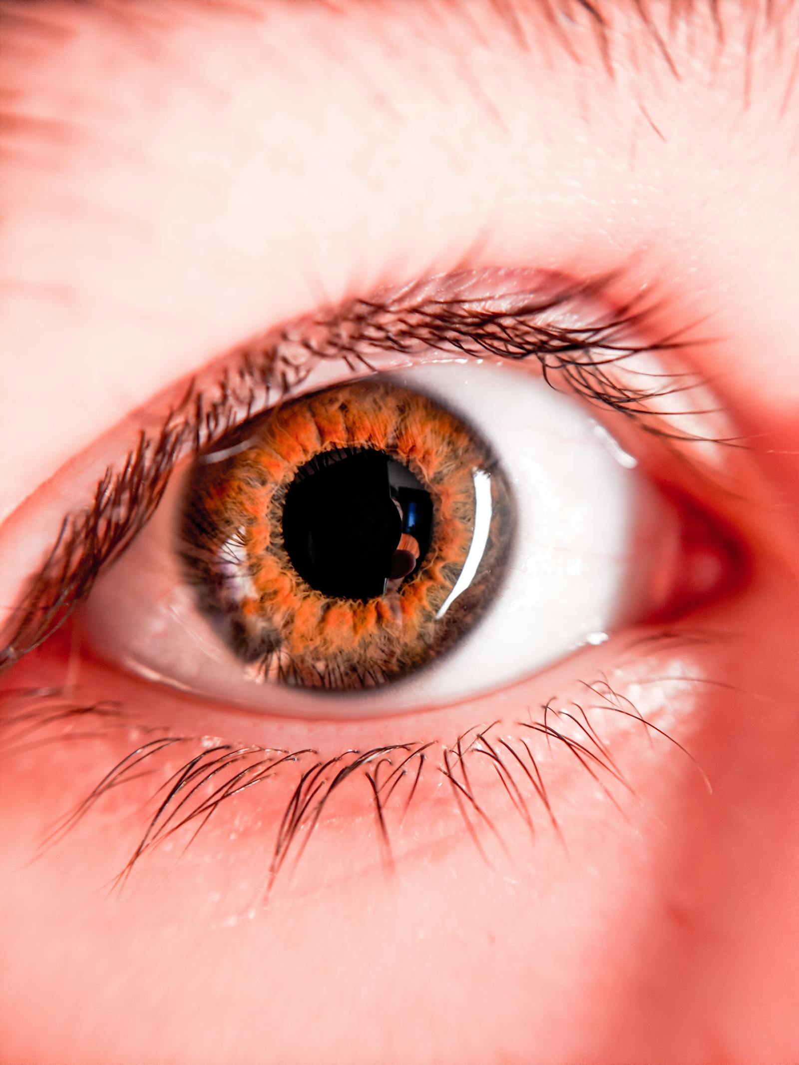 Macro detail of a human iris